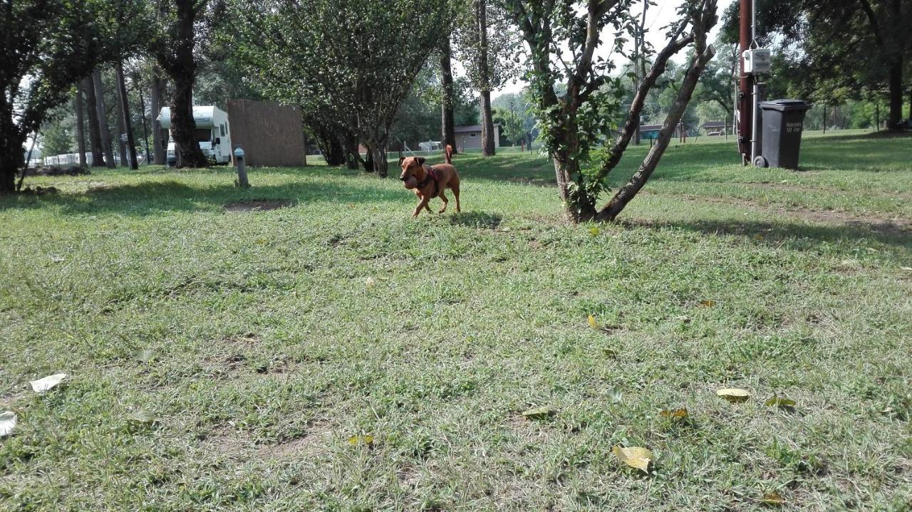 Campsite Toparti Tiszafured