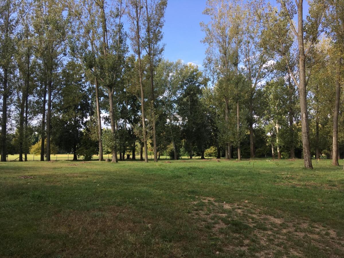Campsite Toparti Tiszafured